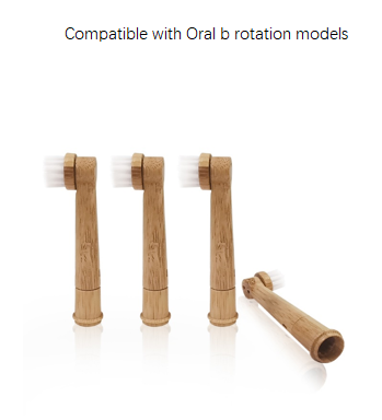 Oral-B compatible bamboo toothbrush heads