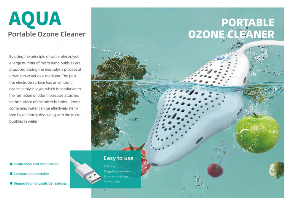 Portable Ozone Cleaner