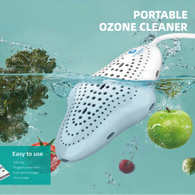Portable Ozone Cleaner